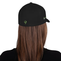 Fitted Song Reaktor Cap